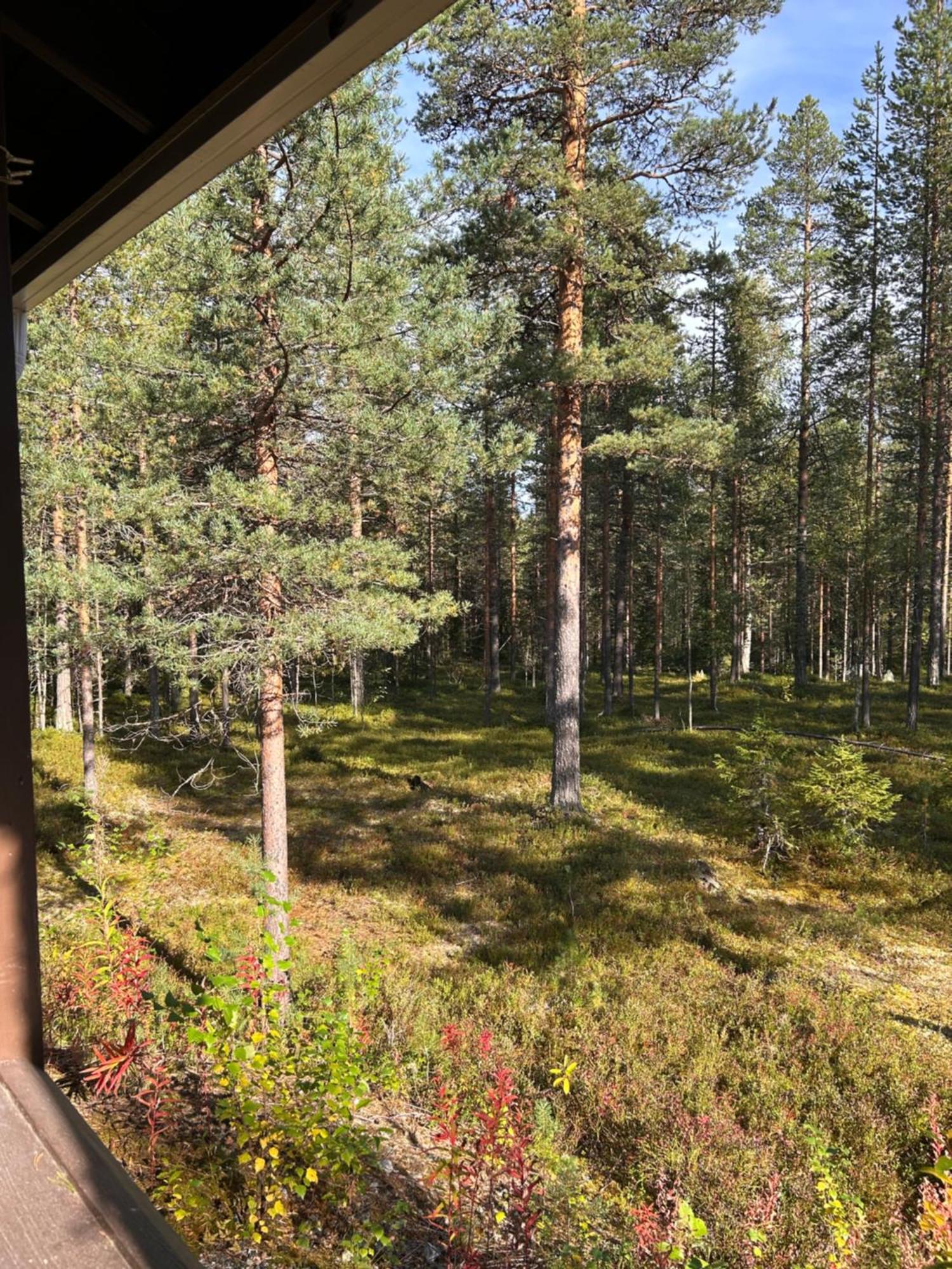 Unelmasaeleikkoe 2 Kittilä Eksteriør billede